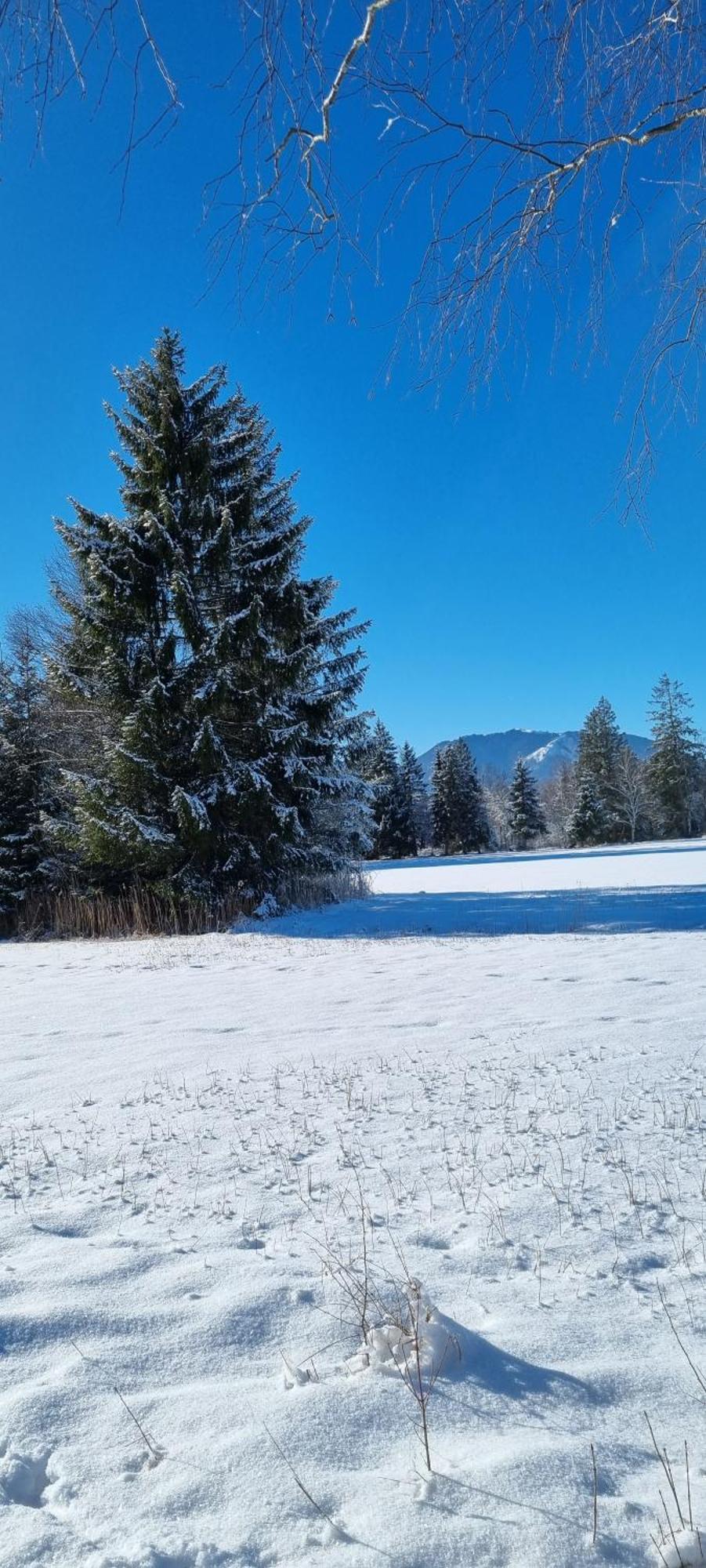 Boutique Hotel Angerer Murnau am Staffelsee Eksteriør billede