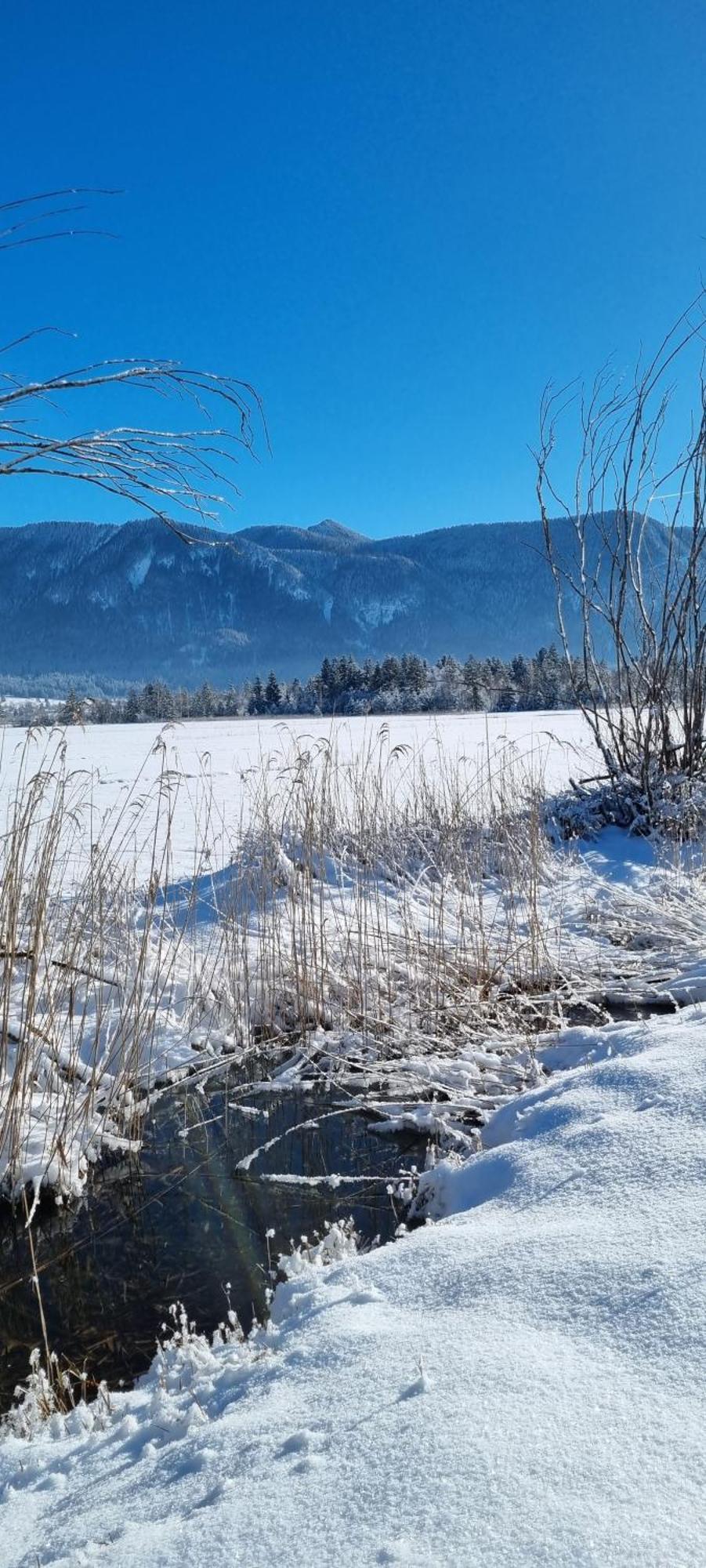 Boutique Hotel Angerer Murnau am Staffelsee Eksteriør billede