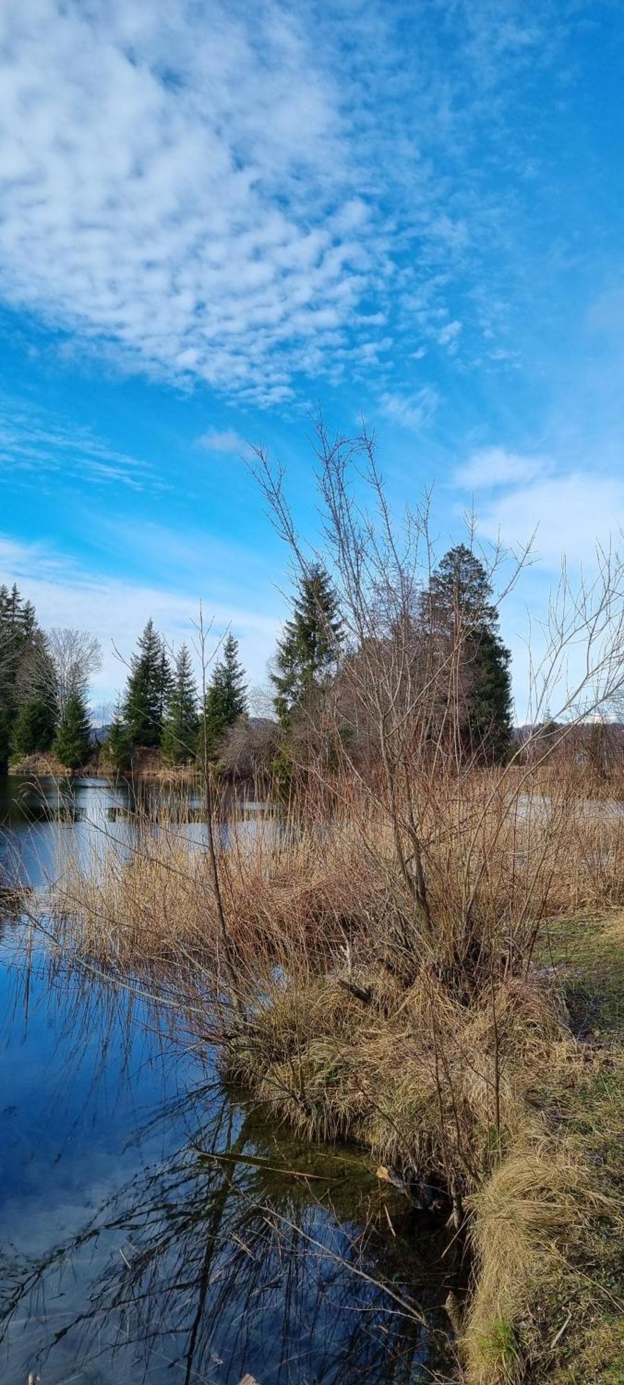 Boutique Hotel Angerer Murnau am Staffelsee Eksteriør billede